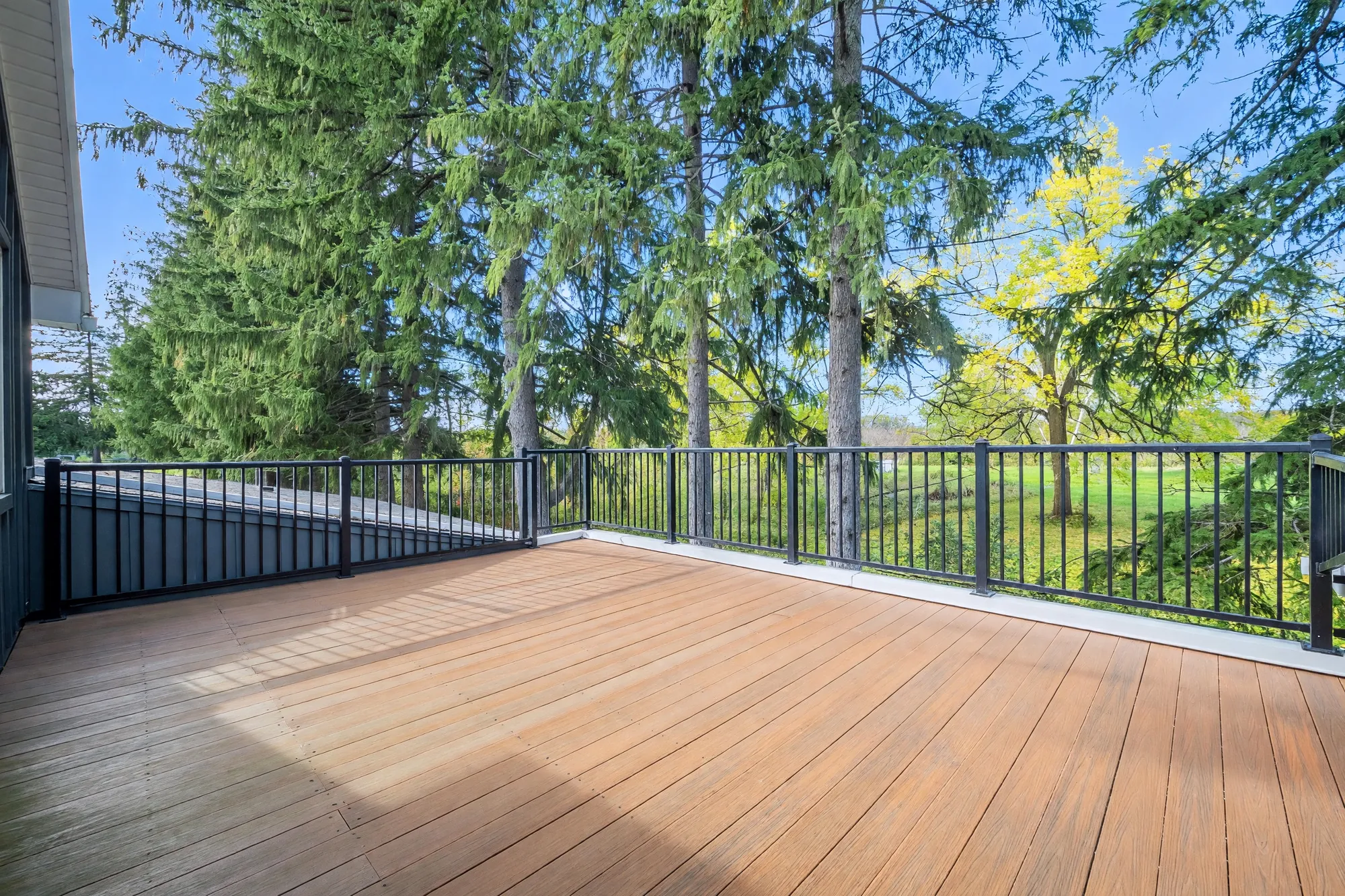 A balcony with brown decking and a black railing, tall spruce and a lawn beyond