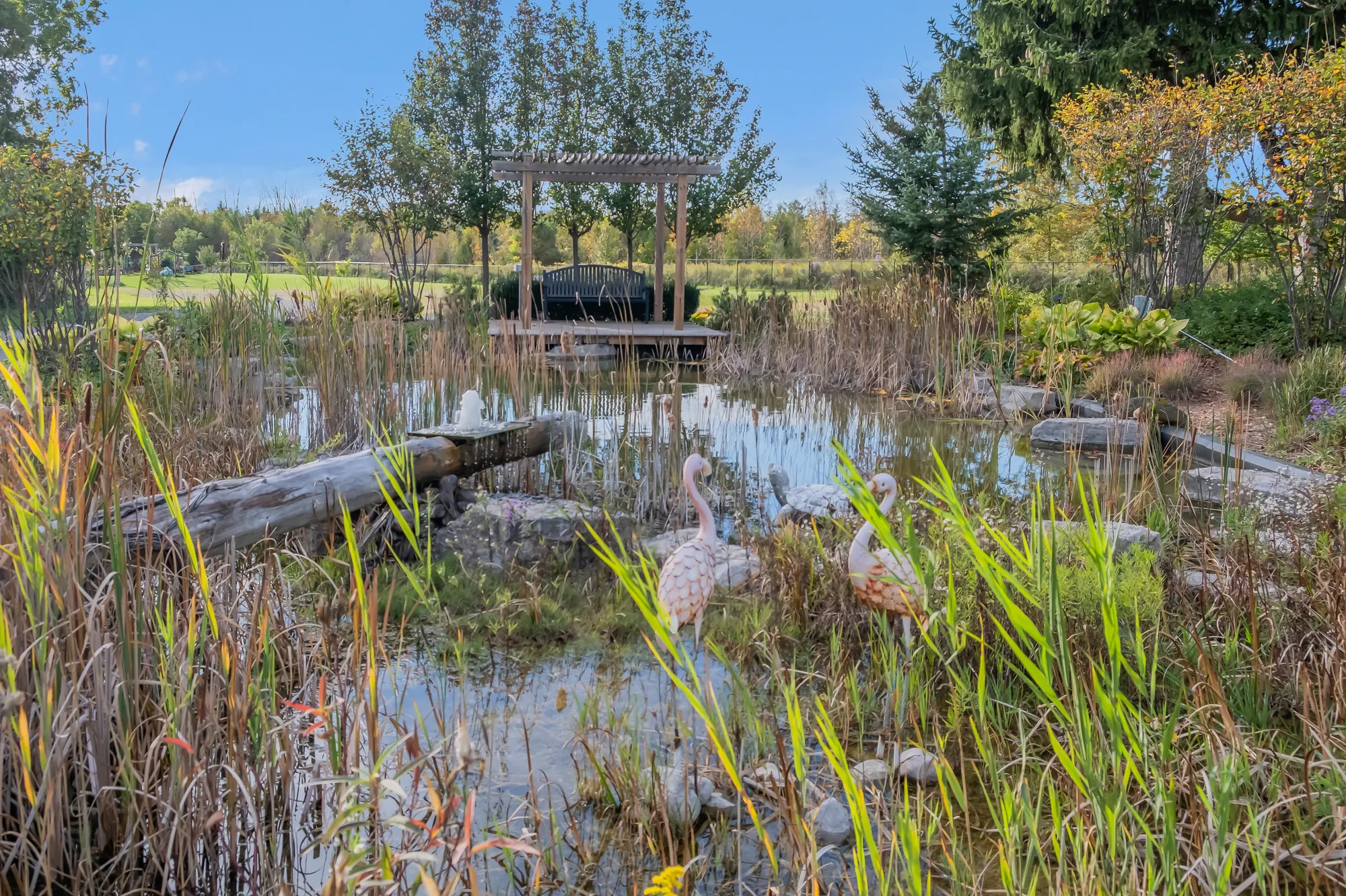 A pond in the garden: reeds and grasses, a fountain, flamingo ornaments, a pergola on a platform over the water, fields beyond