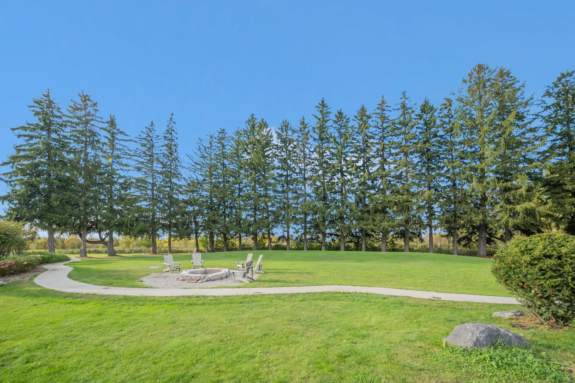 A lawn inside a row of tall spruce, a curving path to a fire pit ringed with Adirondack chairs