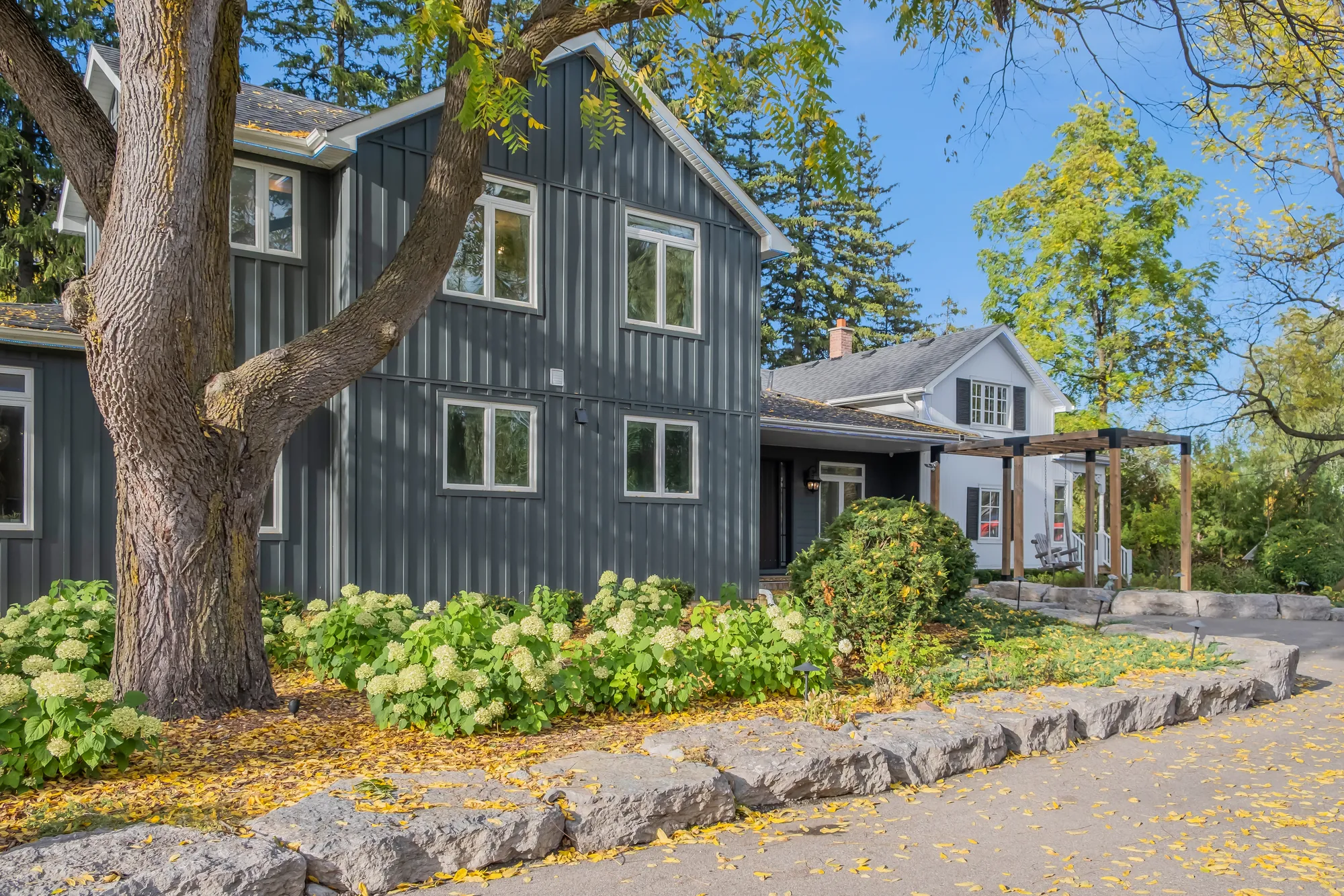 The dark wing from the drive: two storeys in board-and-batten siding behind a large tree, hydrangeas in a bed edged with limestone blocks, the pergola and the white wing beyond